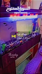  8 حوض سمك 70 حجم