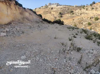  7 ارض للبيع 1000 متر طابو ابو نجيم