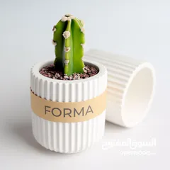  2 تحف جبس ديكور