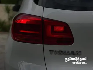  5 بدر مصطفى القواسمه