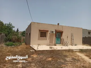  3 منزل خلف جامع الكحيلي
