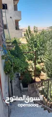  12 بيت طابقين منطقه شومر
