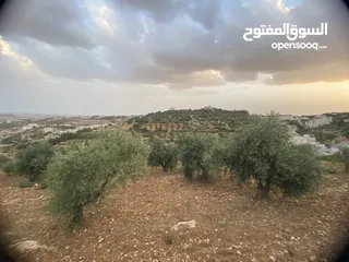  13 للبيع: أرض بإطلالة خلابة وموقع هادئ في دابوق من المالك مباشرة فيها منسوب