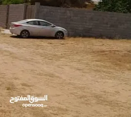  2 أرض سكنية طرابلس في منطقة السراج طريق المواشي بعد جامع الصحابة ومدرسة المعرفة