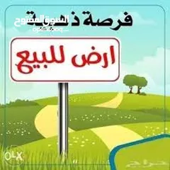  1 ارض استثمارية في الضليل قابله للتحويل صناعي جميع الخدمات متوفره موقع مميز 500م عن مصنع حمودة للألبان
