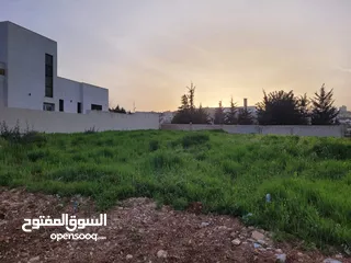  1 أرض مميزه جدا للبيع بشفا بدران بسعر ممتااااز