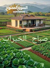  1 راس تك 2011 مطور 2012 فل الفل