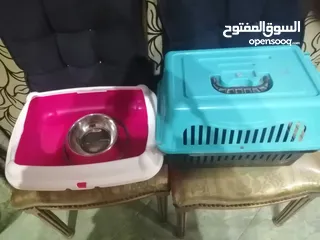  2 بوكس وطبق اكل وليتر بوكس