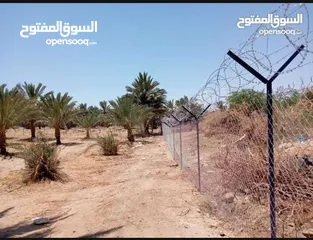  15 تشيك مزارع