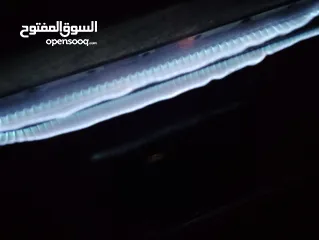  5 غاز سيزلر 90س للبيع