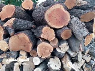  1 حطب زيتون ولوز وحمضيات ناشف مقطع حسب الطلب
