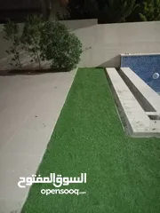  2 عشب صناعي فاخر