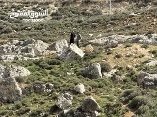  29 ارض للبيع قرمية حسبان 3100 متر لكامل القطعة قابل للأقساط