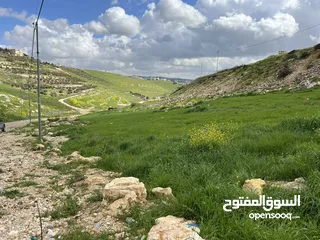  2 الفزره 525 م سكن ج