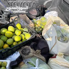  18 للبيع ... مع قابلية للتفاوض للجادين .... مزرعة و فيلا مفروشة مع مسبح خاص في منطقة الجوفة في الغور