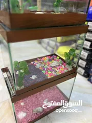  10 أحواض سمك مميز عروض خيالية جودة عالمية تابع الوصف