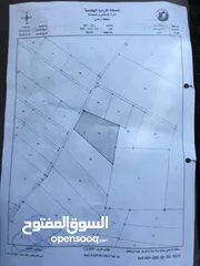  2 مزرعة زيتون مزروعة 500 شجرة ومشيكة وفيها حارس وماء