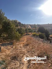  1 قطعة ارض مميزة في واد القف مرتفعة ومطلة