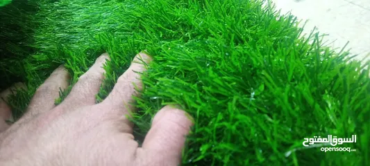  9 عشب صناعي نجيل ترتان باقل سعر