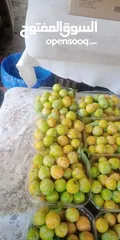  1 خوخ اصفر حبكا