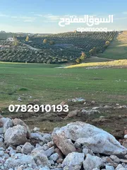  3 ثلاث دنم ونصف منطقة بلعما بسعر ممتاز