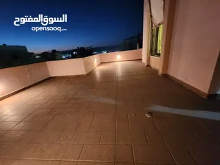 7 شقه طابقيه لها مدخلين ويتبع لها غرفه علي السطح