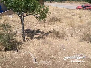  9 ارض للبيع في عجلون (صخرة)