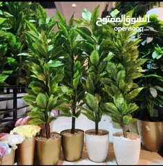  2 Artificial Plants Available For Sale