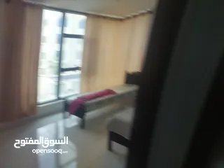  2 شقه مفروشه بالماصيون سوبر ديلكس