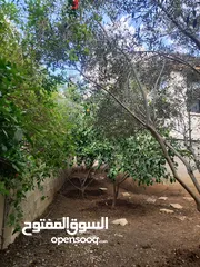  17 منزل منفصل للبيع