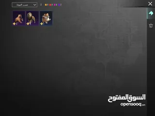  20 حساب ببجي ،                 ،                   ،