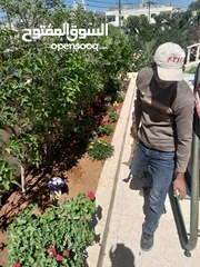  1 قص الاشجار وتنسيق الحدائق ورش الاشجار بأسعار جيدة