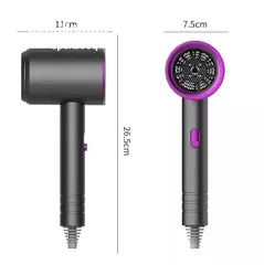  1 Hair dryer model 220-AC