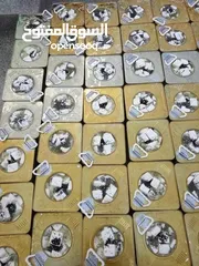  1 اجبان الخير  جبنه بيضاء بلديه حليب غنم صافي 100‎%‎ مكفوله