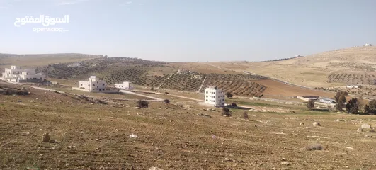  3 شفابدران المقرن اجمل الأحياء