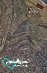  3 احمد ابو مصطفى