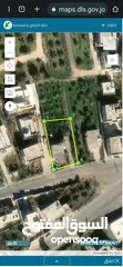  12 ارض 1466م² للبيع في اربد _ بلدة جحفية