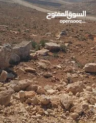  1 قطعة أرض مميزة في مشروع نقابة المهندسين / حمامة