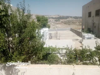  21 منزل مستقل جرش اسكان عجرمه  3غرف نوم 2حمام  صاله مع مطبخ امريكي  بلكونه  حديقه مساحه الارض 305