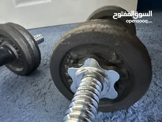  2 دمبلز حديد 10 كيلو dumbbells