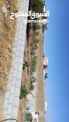  8 فيله للبيع