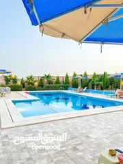  6 مزرعة فخمة وشاليه للايجار اليومي في مادبا