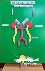  2 Science Project for School Kids 6th Grade