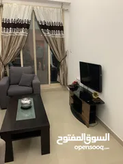  5 شقة غرفة وصالة مفروشة بالكامل في دبي مارينا