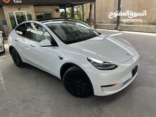  2 Tesla Model Y Long Range dual motor