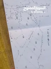  4 800متر مربع طابوا فلسطيني موقع مميز وجميل