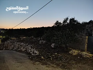  25 ارض للبيع مساحة4300م وعلى الواقع 12دونم تصلح بيت ريفي شاليه ارض زراعيه ويوجد فيها بيت قيد الانشاء