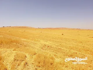 13 مادبا ماعين غرابيات ام راسين قطعة ارض زراعية بمنطقة هادئة و مميزة بمساحة 5300 م واصل الخدمات