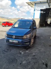  6 كادي ترخيص 2017 شصي قصير