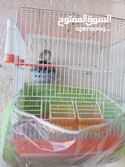  2 جواز فنقز للبيع